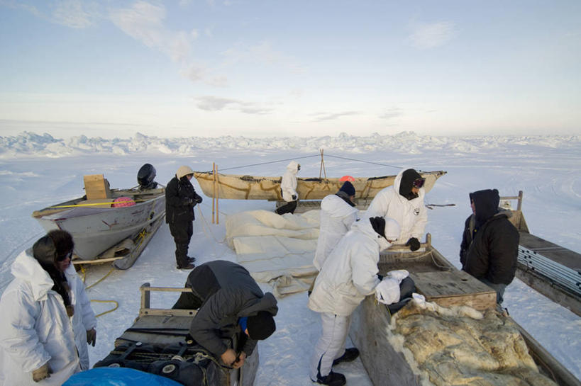 成年人,人群,横图,室外,北极,雪,全球变暖,船,美国,冰,设备,物品,自然,浮冰,乘务员,运输,摄影,气象,雪橇,环境,气候,因纽特人,男人,彩图,传统文化