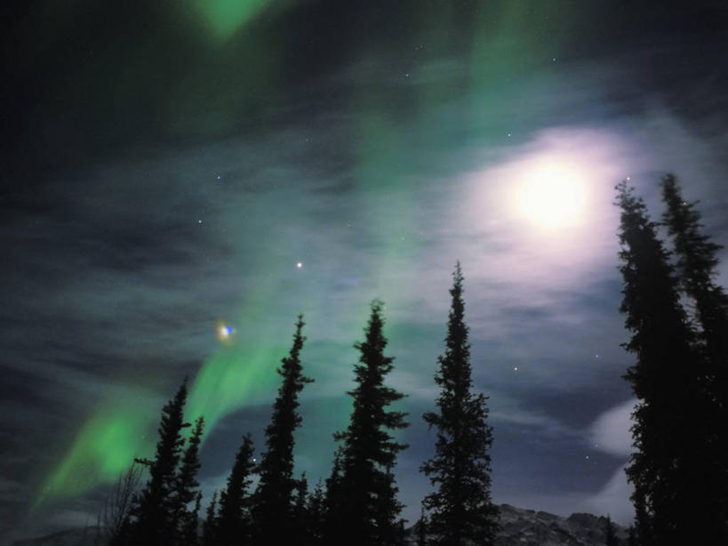 无人,横图,室外,夜晚,北极,美国,太空,月亮,云,星星,满月,树,绿色,天空,自然,摄影,国家野生动物保护区,布鲁克斯山脉,北极光,彩图
