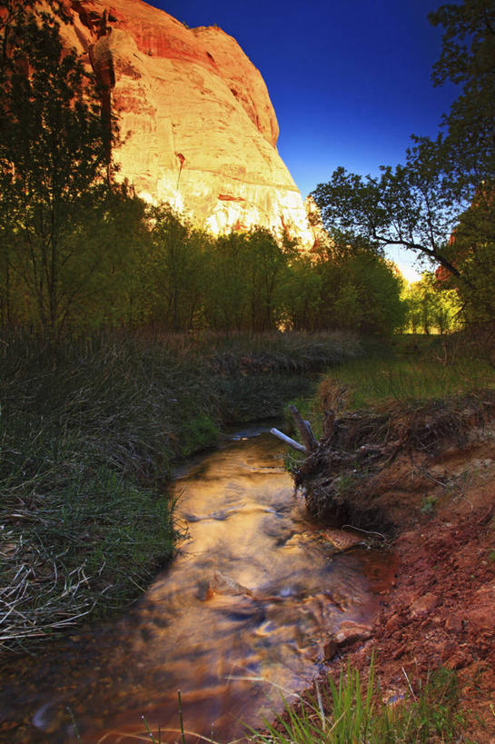 无人,竖图,室外,白天,日落,美国,地形,树,小溪,摄影,犹他,地质学,大楼梯国家纪念碑,彩图