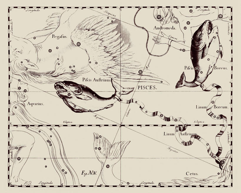 无人,横图,地图,艺术,科学,星星,摄影,星座,天文学,双鱼座,拉丁文,彩图,雕刻术