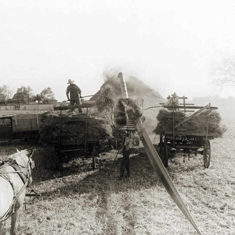 成年人,中年人,三个人,农民,农场,方图,黑白,室外,白天,留白,农业,美景,美国,推车,景观,谷类,燕麦,自然,景色,摄影,自然风光,中年男性