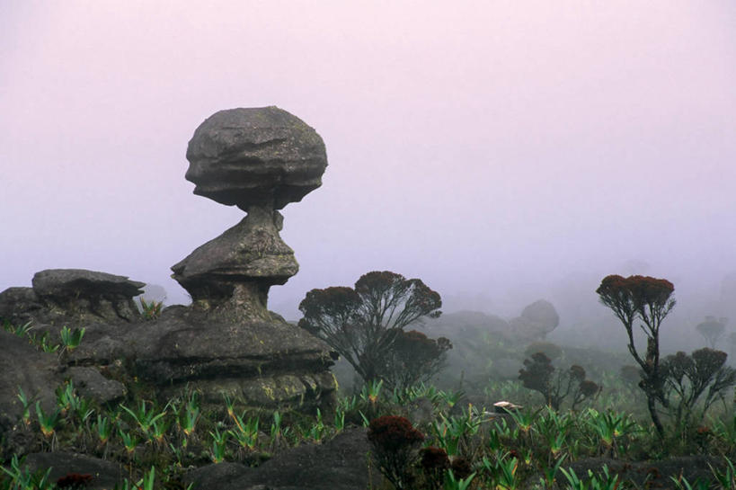 无人,横图,室外,白天,旅游,度假,探险,美景,雨,暴风雨,雾,艺术,高原,景观,天气,娱乐,黑色,自然,享受,休闲,景色,南美,放松,平衡,摄影,恐龙,宁静,文学,自然风光,外星人,迷路,梦想,沙岩,冒险,危险,岩石,彩图,罗赖马山,超现实主义,流派,艺术流派,卡奈依马国家公园