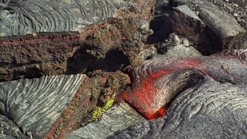 横图,室外,白天,火山,美国,红色,熔岩,摄影,蕨类,美洲,毁灭,夏威夷群岛,地质学,自然地理,彩图