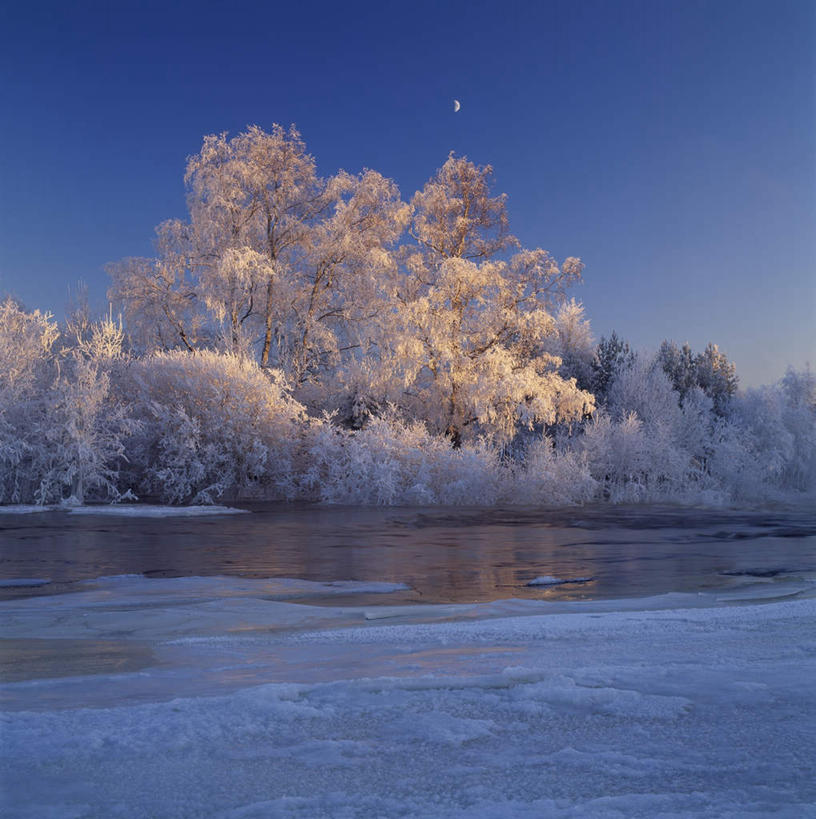 无人,竖图,室外,白天,正面,河流,美景,树林,水,雪,植物,大雪,阴影,平静,光线,影子,河水,积雪,景观,水流,雪景,月亮,冬季,冬天,月光,树,树木,蓝色,蓝天,天空,阳光,自然,天,景色,安静,寒冷,生长,晴朗,成长,宁静,凝聚,明亮,凝结,静谧,自然风光,万里无云,严寒,皎洁,沉静,固结,凝固,凝集,恬静,安祥,僻静,清静,太平,晴空,晴空万里,彩图