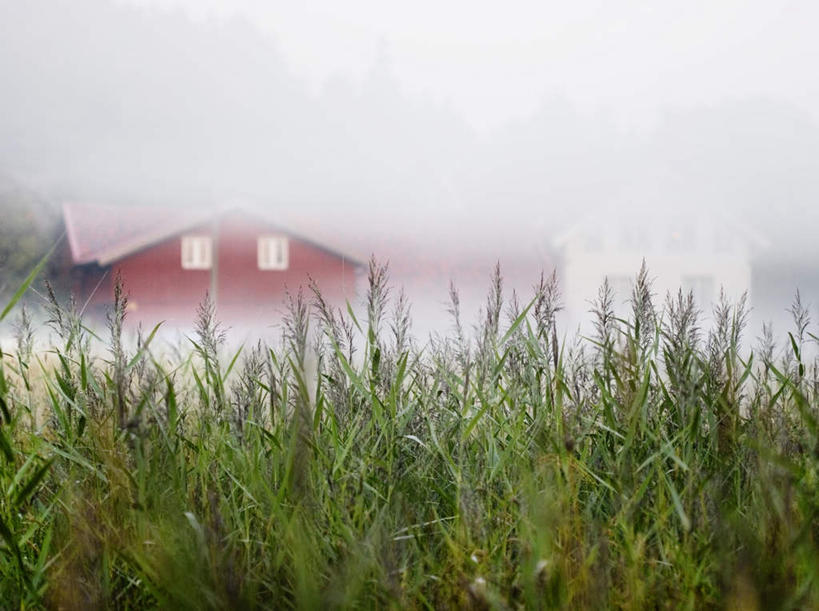 无人,家,横图,室外,白天,正面,草地,草坪,美景,植物,雾,瑞典,欧洲,覆盖,朦胧,模糊,平静,房屋,屋子,景观,楼房,住宅,草,树,树木,绿色,自然,包围,景色,安静,茂密,茂盛,生长,成长,宁静,迷雾,斯堪的纳维亚,静谧,自然风光,北欧,斯堪的纳维亚半岛,沉静,笼罩,恬静,安祥,僻静,清静,太平,瑞典王国,大雾,彩图,房子