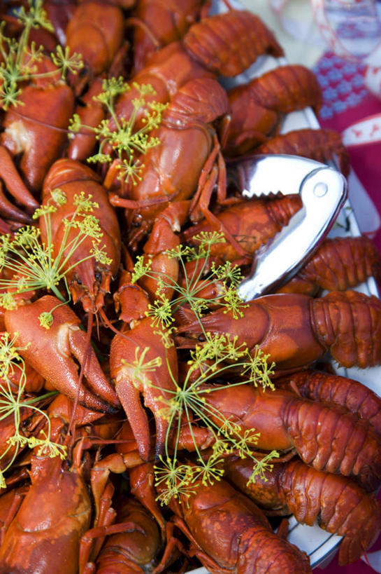 海鲜,龙虾,无人,竖图,俯视,室外,特写,白天,兴奋,热情,一堆,许多,堆叠,堆积,陶瓷,虾,美味,陶瓷制品,很多,开放,水产,海洋生物,红色,盘子,容器,碗,健康,温暖,奔放,活力,积极,激情,朝气,储藏,堆,暖色,吉祥,生命,储存,水生动物,海产品,水生物,饱满,海底动物,莳萝,洋茴香,土茴香,革命,热烈,赤色,充实,斗志,喜气,主动,甘旨,厚味,鲜味,彩图,高角度拍摄,欢乐,贮存