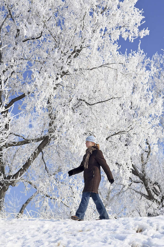 西方人,一个人,走,竖图,室外,白天,仰视,旅游,度假,美景,树林,雪,植物,大雪,欧洲,加拿大,欧洲人,仅一个年轻女性,仅一个女性,仅一个人,阴影,服装,光线,影子,积雪,景观,雪景,冬季,冬天,休闲装,娱乐,树,树木,衣服,蓝色,绿色,蓝天,天空,阳光,自然,天,享受,休闲,休闲服,景色,放松,寒冷,服饰,生长,晴朗,成长,北美,北美洲,自然风光,美洲,万里无云,北亚美利加洲,亚美利加洲,严寒,马尼托巴,马尼托巴省,曼尼托巴省,年轻女性,女人,女性,白种人,晴空,晴空万里,步行,散步,走路,彩图,低角度拍摄,全身