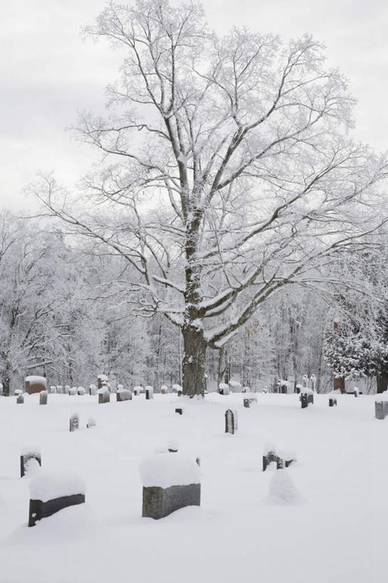 无人,竖图,室外,白天,正面,旅游,度假,美景,树林,雪,植物,大雪,加拿大,阴影,光线,影子,积雪,景观,雪景,冬季,冬天,娱乐,树,树木,蓝色,绿色,蓝天,天空,阳光,自然,天,享受,休闲,景色,放松,寒冷,生长,晴朗,成长,北美,北美洲,自然风光,美洲,万里无云,北亚美利加洲,亚美利加洲,严寒,魁北克省,晴空,晴空万里,彩图