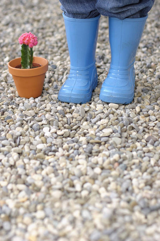 西方人,儿童,一个人,站,竖图,俯视,室外,特写,白天,石头,植物,仙人掌,鞋子,欧洲,欧洲人,仅一个男性,仅一个人,一堆,阴影,堆叠,堆积,装饰,光线,火焰,盆栽,石子,影子,雨鞋,雨靴,草药,盆景,靴子,中药,小孩,粉色,蓝色,绿色,阳光,自然,站着,仅一个小孩,鹅卵石,生长,成长,堆,华丽,修饰,点缀,胶鞋,药材,中草药,按摩石,中药材,本草,牛舌头,衬托,美观,雅致,雅观,男孩,男人,男性,白种人,孩子,石块,玉芙蓉,仙巴掌,火掌,霸王树,站立,半身,彩图,高角度拍摄,男生