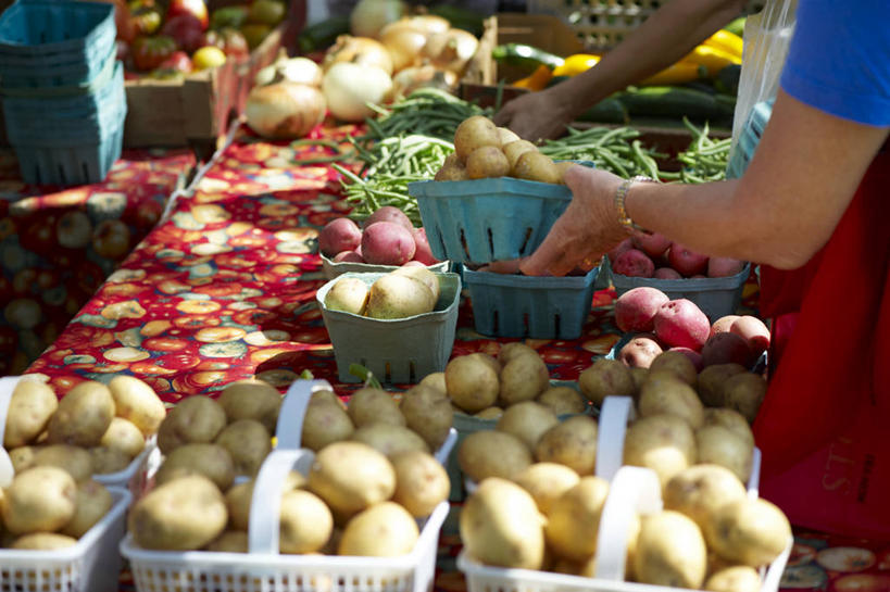 西方人,一个人,站,横图,俯视,彩色,室外,白天,植物,桌面,土豆,洋葱,欧洲,加拿大,欧洲人,仅一个女性,仅一个人,阴影,光线,篮子,影子,豆类,豆子,豌豆,拿,拿着,荷兰豆,一个,阳光,站着,仅一个中年女性,五颜六色,色彩斑斓,北美,北美洲,美洲,五彩缤纷,雪豆,豆科,多伦多,省会,北亚美利加洲,亚美利加洲,寒豆,毕豆,麻累,国豆,小寒豆,麦豌豆,五彩斑斓,安大略省,安省,北方好莱坞,多伦多市,五光十色,女人,女性,中年女性,白种人,圆葱,芋艿,洋芋,洋葱头,山药蛋,球葱,马铃薯,站立,半身,彩图,高角度拍摄