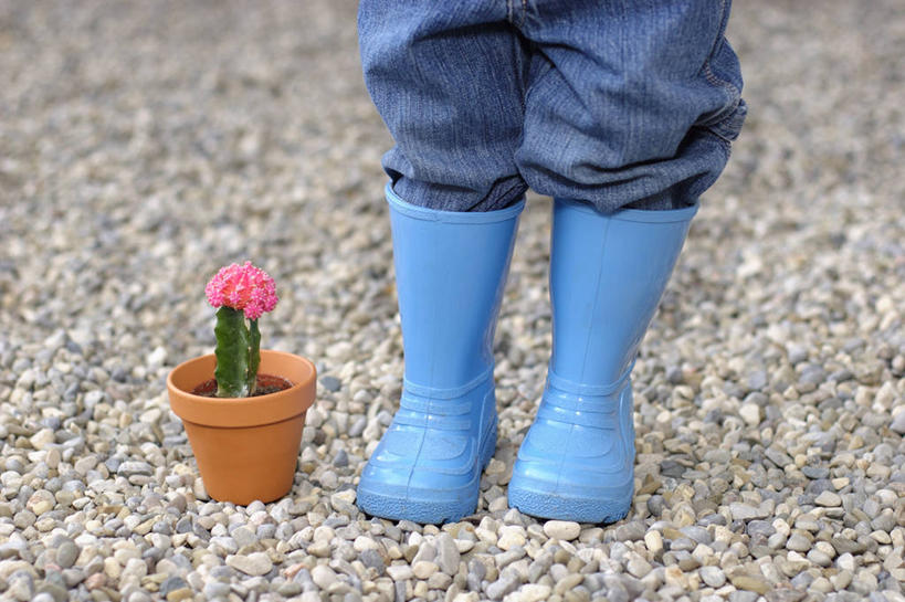 西方人,儿童,腿部,腿,一个人,站,横图,室外,白天,正面,纯洁,石头,植物,仙人掌,鞋子,欧洲,欧洲人,仅一个男性,仅一个人,裤子,火焰,盆栽,石子,雨鞋,雨靴,草药,盆景,注视,牛仔裤,靴子,中药,小孩,绿色,自然,容器,观察,看,站着,仅一个小孩,鹅卵石,可爱,童年,童趣,生长,成长,观看,储藏,察看,储存,关注,胶鞋,药材,中草药,按摩石,童真,烂漫,无邪,中药材,本草,牛舌头,天真,男孩,男人,男性,白种人,孩子,石块,玉芙蓉,仙巴掌,火掌,霸王树,站立,半身,彩图,贮存,男生