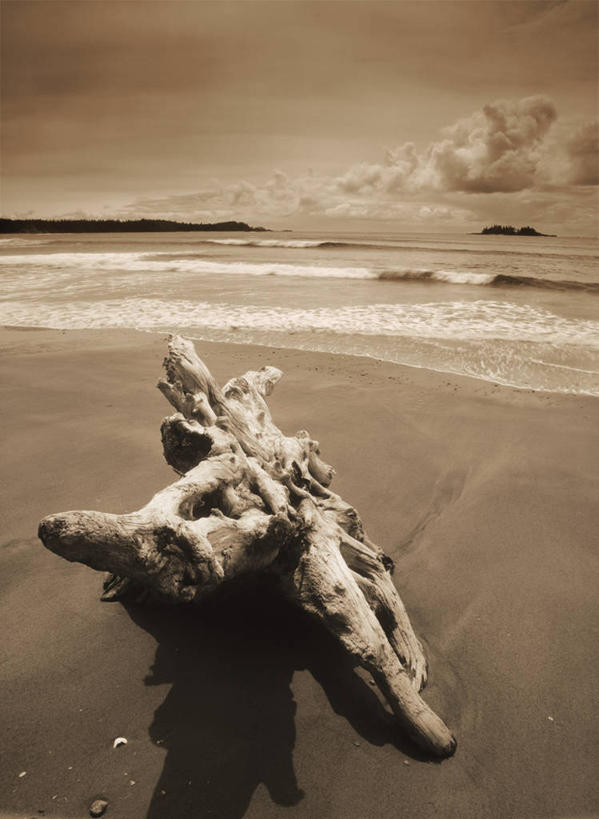 无人,竖图,俯视,室外,白天,旅游,度假,海浪,海洋,石头,美景,日落,沙滩,山,山脉,加拿大,阴影,光线,沙子,石子,影子,海岸,景观,浪花,山峰,水平线,晚霞,霞光,云,云朵,落日,辽阔,树桩,海平线,沙地,山峦,云彩,娱乐,树,树干,蓝色,白云,蓝天,天空,阳光,自然,海水,黄昏,群山,天,享受,休闲,广阔,木桩,景色,彩霞,放松,晴朗,一望无际,北美,北美洲,自然风光,美洲,海景,北亚美利加洲,亚美利加洲,卑诗省,不列颠哥伦比亚,不列颠哥伦比亚省,无边无际,一马平川,夕照,大海,风浪,海,海水的波动,海滩,近岸浪,石块,岩石,涌浪,晴空,夕阳,彩图,高角度拍摄,卑斯省,太平洋沿岸国家公园保留地,水天相接,水天一线,斜阳