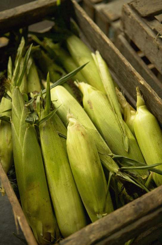 无人,竖图,俯视,室外,特写,白天,旅游,度假,玉米,一堆,许多,堆叠,堆积,棒子,玉蜀黍,很多,娱乐,容器,享受,休闲,放松,储藏,堆,苞米,储存,苞芦,苞谷,板条箱,包谷,大蜀黍,番麦,薏米包,玉高粱,玉麦,珍珠米,彩图,高角度拍摄,贮存