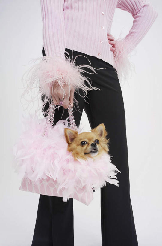 西方人,一个人,站,竖图,室内,白天,白色背景,侧面,宠物,狗,欧洲,欧洲人,仅一个年轻女性,仅一个女性,仅一个人,服装,装饰,花篮,篮子,棕色,休闲装,手叉腰,一只,衣服,粉色,黑色,动物,叉腰,站着,休闲,休闲服,可爱,提,摄影,服饰,影棚,华丽,修饰,点缀,提着,忠诚,衬托,美观,雅致,雅观,年轻女性,女人,女性,白种人,犬,站立,半身,彩图,影棚拍摄,拍摄