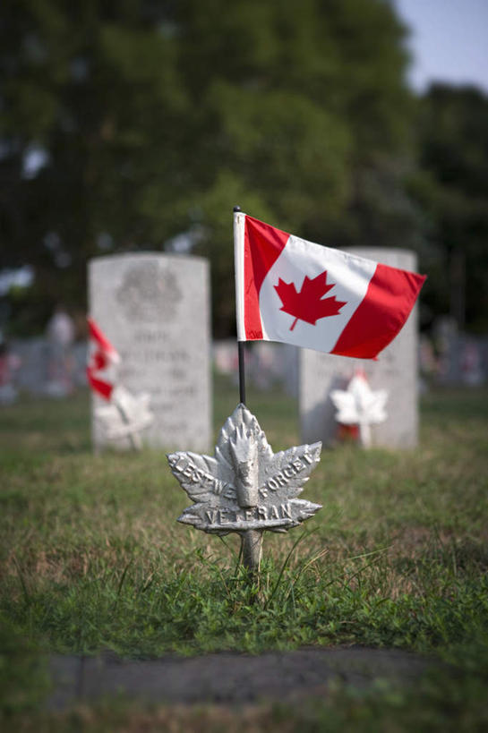 无人,竖图,室外,白天,正面,旅游,度假,草地,草坪,植物,标志建筑,地标,建筑,旗帜,国旗,雕塑,加拿大,艺术,装饰,雕刻,雕像,娱乐,建设,草,树,树木,绿色,自然,工艺品,享受,休闲,墓地,旅游胜地,放松,生长,成长,纪念,美术,北美,坟墓,陵墓,北美洲,主题,美洲,陈列,坟场,功能,美学,北亚美利加洲,亚美利加洲,安大略省,安省,旗,彩图