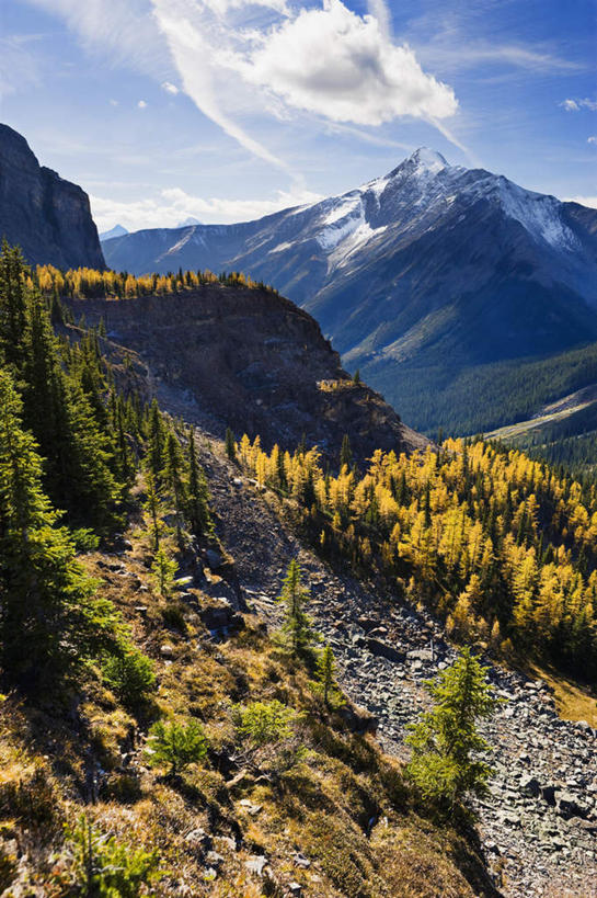 无人,公园,竖图,室外,白天,正面,旅游,度假,美景,山,山脉,植物,加拿大,阴影,光线,影子,景观,山峰,云,云朵,山峦,云彩,娱乐,树,树木,蓝色,绿色,白云,蓝天,天空,阳光,自然,群山,天,享受,休闲,景色,放松,生长,晴朗,成长,北美,北美洲,国家公园,自然风光,美洲,北亚美利加洲,亚美利加洲,卑诗省,不列颠哥伦比亚,不列颠哥伦比亚省,优鹤国家公园,幽鹤国家公园,晴空,彩图
