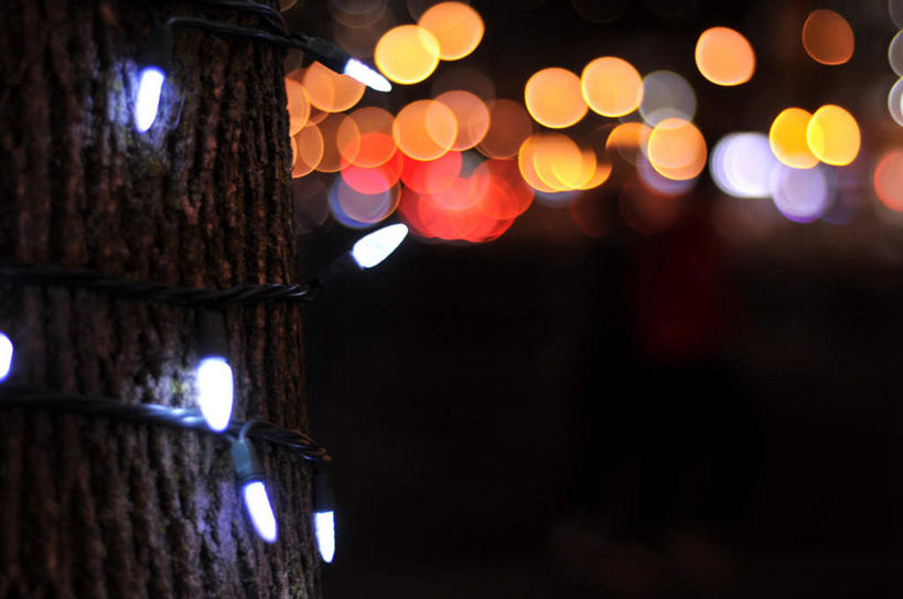 无人,栏杆,横图,彩色,室外,夜晚,正面,旅游,度假,美景,植物,路灯,照明,加拿大,圣诞节,节日,朦胧,模糊,庆祝,栅栏,景观,篱笆,围栏,灯光,圣诞树,文化,娱乐,护栏,灯,树,树木,蓝色,绿色,蓝天,天空,自然,天,庆典,享受,休闲,景色,放松,生长,成长,纪念,五颜六色,照亮,色彩斑斓,北美,北美洲,照明设备,自然风光,美洲,五彩缤纷,多伦多,省会,北亚美利加洲,亚美利加洲,五彩斑斓,安大略省,安省,北方好莱坞,多伦多市,五光十色,彩图