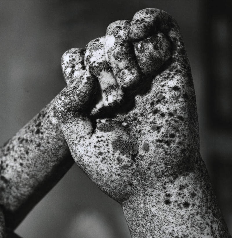 手,无人,方图,室内,白天,正面,雕塑,阴影,朦胧,模糊,艺术,装饰,光线,棒子,雕刻,雕像,影子,阳光,工艺品,手部,纪念,美术,腐烂,主题,丢弃,陈列,抛弃,功能,美学,腐败,腐臭,腐朽,遗弃,摈弃,扔掉,扔弃,甩掉,扬弃,彩图