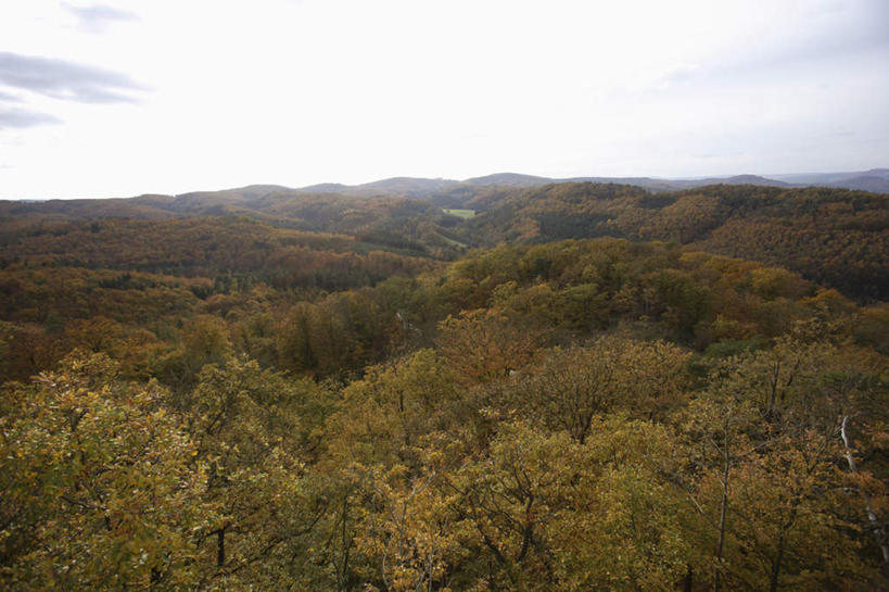 无人,横图,室外,白天,正面,旅游,度假,美景,山,山脉,树林,植物,德国,欧洲,阴影,光线,影子,景观,山峰,云,云朵,山峦,云彩,娱乐,树,树木,蓝色,绿色,白云,蓝天,天空,阳光,自然,群山,天,享受,休闲,景色,放松,高低,茂盛,生长,晴朗,成长,凹凸,繁茂,西欧,自然风光,洼地,德意志联邦共和国,兴旺,昌盛,崎岖,昌隆,畅旺,发达,蕃芜,繁盛,富强,隆盛,蓬勃,旺盛,兴隆,兴盛,郁勃,爱森纳赫,图林根,晴空,彩图,图林根州