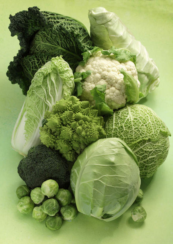 无人,竖图,俯视,室内,特写,白天,蔬菜,椰菜,卷心菜,一堆,许多,绿色背景,阴影,堆叠,堆积,新鲜,反射,影子,花菜,花椰菜,食品,很多,菜花,食物,甘蓝,摄影,有机食品,绿色食品,影棚,堆,椰菜花,甘蓝菜,结球甘蓝,甘兰,包心菜,彩图,高角度拍摄,影棚拍摄,拍摄,圆白菜