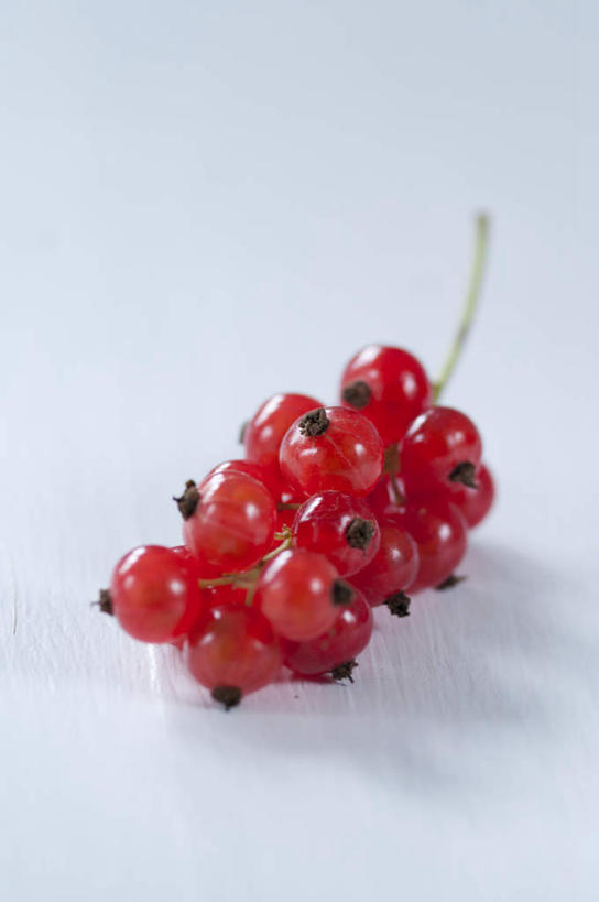 无人,竖图,俯视,室内,特写,白天,浆果,水果,一堆,许多,阴影,堆叠,堆积,灰色背景,新鲜,反射,影子,生食,食品,果实,很多,食物,摄影,有机食品,绿色食品,影棚,堆,红醋栗,醋栗,彩图,高角度拍摄,影棚拍摄,拍摄,红茶藨子,红加仑