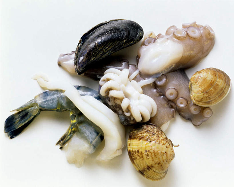 海鲜,无人,横图,俯视,室内,特写,白天,白色背景,餐桌,桌子,乌贼,章鱼,贝壳,一堆,许多,阴影,堆叠,堆积,光线,影子,虾,很多,水产,海洋生物,无脊椎动物,摄影,影棚,餐台,堆,石吸,死牛,望潮,坐蛸,水生动物,海产品,水生物,海底动物,斑节对虾,斑节虾,乌鲗,乌鱼,日本对虾,竹节虾,无脊椎非鱼类,贝类外壳,海螺壳,软体动物外壳,石居,墨鱼,墨斗鱼,花枝,八爪鱼,彩图,高角度拍摄,影棚拍摄,拍摄