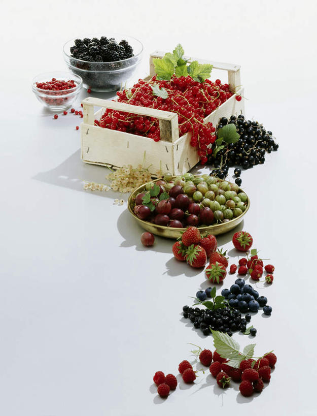 无人,竖图,俯视,室内,特写,白天,白色背景,浆果,蓝莓,黑加仑,葡萄,餐具,水果,一堆,许多,阴影,堆叠,堆积,新鲜,光线,碟子,盘,影子,灯笼果,桑葚,生食,食品,果实,很多,食物,盘子,碟,覆盆子,摄影,有机食品,绿色食品,影棚,堆,红醋栗,山葫芦,山都柿,蒲桃,蓝浆果,蓝靛果,黑穗醋栗,黑豆果,黑醋栗,醋栗,草龙珠,彩图,高角度拍摄,影棚拍摄,拍摄