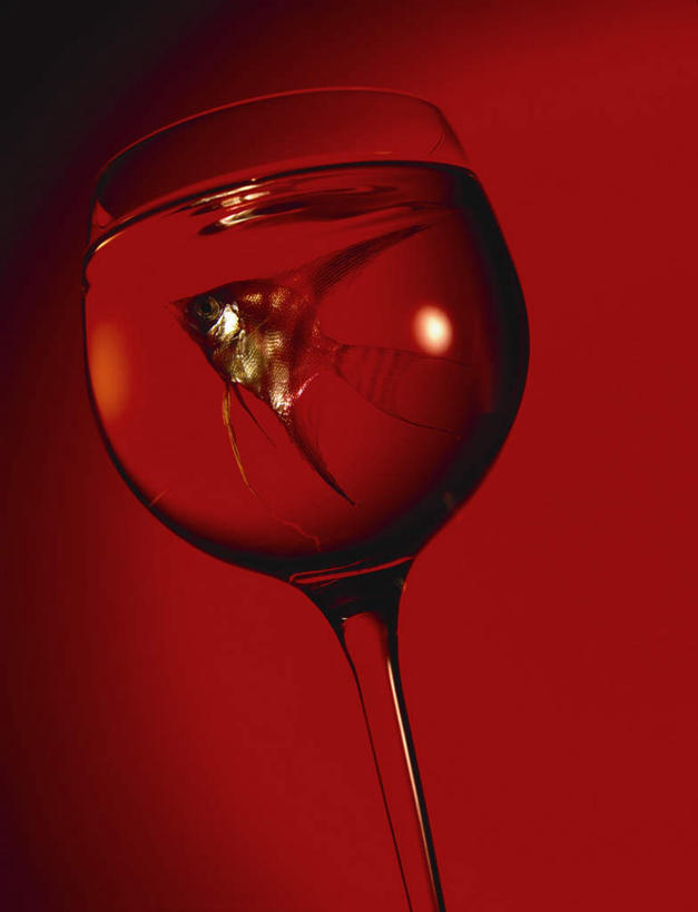 游泳,无人,竖图,室内,特写,白天,仰视,水,餐桌,桌子,阴影,红色背景,光线,金鱼,鱼,液体,影子,饮用水,鱼类,一个,矿泉水,摄影,影棚,单个,餐台,怪异,葡萄酒杯,奇怪,神奇,奇幻,奇特,蒸馏水,观赏鱼,金鲫鱼,古怪,奇异,彩图,低角度拍摄,全身,影棚拍摄,拍摄