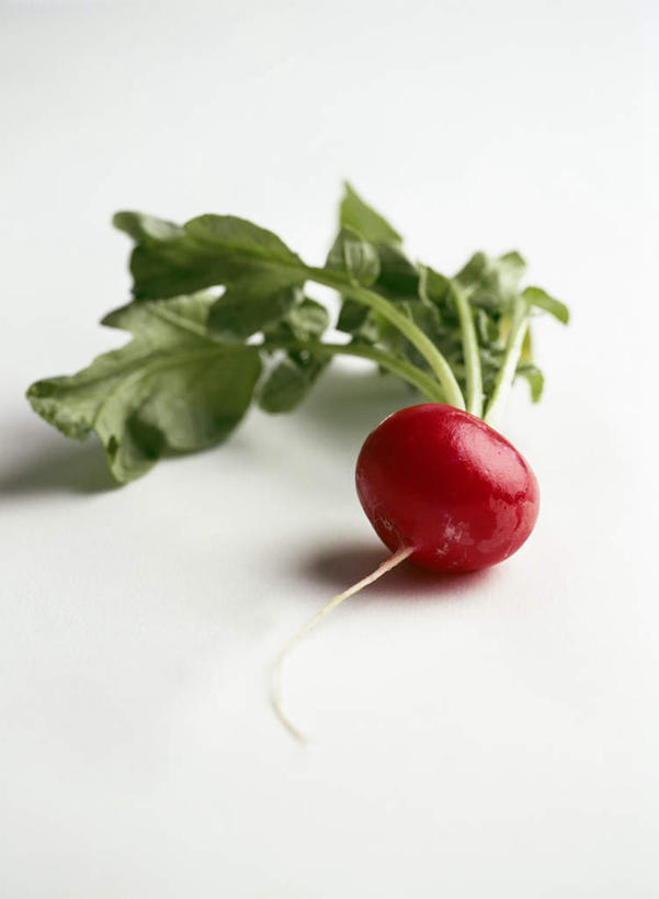 无人,竖图,俯视,室内,特写,白天,白色背景,植物,萝卜,蔬菜,叶子,阴影,新鲜,光线,纹理,影子,灯光,食品,绿叶,球形,食物,一个,红色,绿色,嫩叶,摄影,有机食品,绿色食品,影棚,水萝卜,单个,肌理,叶,叶片,叶脉,彩图,高角度拍摄,影棚拍摄,拍摄