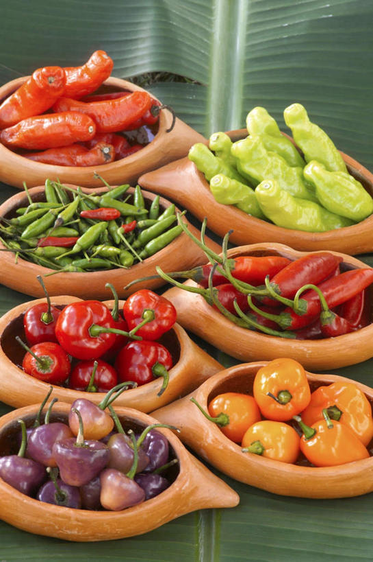 无人,竖图,俯视,室内,特写,白天,植物,桌面,桌子,辣椒,蔬菜,餐具,叶子,一堆,一排,许多,阴影,堆叠,堆积,新鲜,整齐,反射,木制,碟子,盘,纹理,影子,食品,绿叶,很多,芭蕉,食物,排列,绿色,盘子,木制品,碟,嫩叶,有机食品,绿色食品,堆,队列,彩椒,辣角,红海椒,大椒,辣虎,广椒,肌理,叶,叶片,叶脉,甜椒,柿子椒,辣子,红辣椒,海椒,番椒,灯笼椒,彩图,高角度拍摄