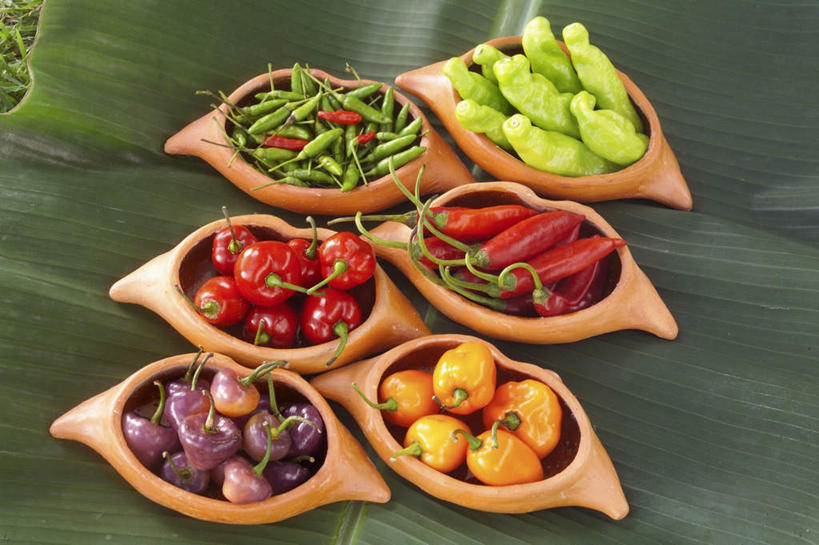 无人,横图,俯视,室内,特写,白天,植物,桌面,桌子,辣椒,蔬菜,餐具,叶子,一堆,一排,许多,阴影,堆叠,堆积,新鲜,整齐,反射,木制,碟子,盘,纹理,影子,食品,绿叶,很多,芭蕉,食物,排列,绿色,盘子,木制品,碟,嫩叶,有机食品,绿色食品,堆,队列,彩椒,辣角,红海椒,大椒,辣虎,广椒,肌理,叶,叶片,叶脉,甜椒,柿子椒,辣子,红辣椒,海椒,番椒,灯笼椒,彩图,高角度拍摄