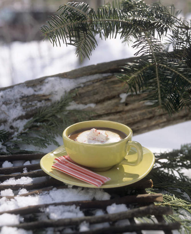 咖啡,无人,竖图,俯视,室外,特写,白天,幸福,雪,大雪,杯子,餐具,阴影,光线,瓷器,碟子,盘,影子,积雪,雪景,冬季,冬天,树桩,咖啡杯,陶瓷制品,娱乐,树,树干,饮料,一个,阳光,盘子,碟,享受,休闲,温馨,木桩,放松,寒冷,乐趣,单个,提神,舒适,瓷杯,醒脑,软饮料,严寒,彩图,高角度拍摄