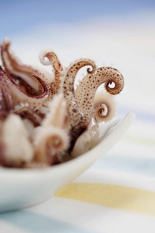 海鲜,无人,竖图,俯视,室内,特写,白天,餐桌,桌子,章鱼,餐具,一堆,许多,阴影,堆叠,堆积,光线,布料,碟子,盘,影子,肉,鱼肉,很多,布纹,水产,肉类,海洋生物,桌布,盘子,餐巾,碟,台布,餐台,堆,石吸,死牛,望潮,坐蛸,水生动物,海产品,水生物,肉食,海底动物,石居,八爪鱼,彩图,高角度拍摄