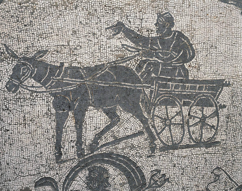 成年人,一个人,坐,横图,室外,特写,白天,意大利,仅一个男性,花纹,图案,推车,马车,首都,历史,古罗马,古代,家畜,摄影,部分,骡子,意大利文化,拉奇奥,古代文明,彩图,过去