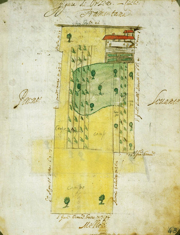 无人,农场,竖图,俯视,航拍,插画,室外,白天,旅游,度假,农业,数码,科技,美景,建筑,地图,意大利,阴影,网络,文字,房屋,景观,田地,高光,几何,计算机图形,合成,图画,历史,娱乐,画,树,自然,享受,休闲,景色,放松,摄影,指导,英文字母,手写,电脑合成图,数码合成图,合成图,鸟瞰,自然风光,漫画,地貌,写实,具体,具象,农舍,美术工艺,诺瓦拉,彩图,高角度拍摄,旅行,地图学