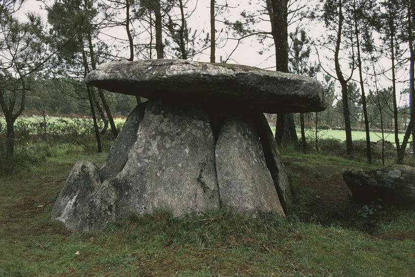 无人,横图,室外,白天,森林,植物,西班牙,摄影,古代文明,加利西亚,史前时代,彩图