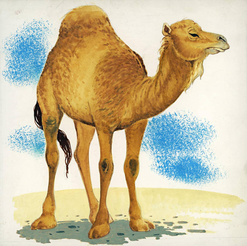 无人,站,横图,方图,插画,数码,科技,野生动物,阴影,网络,高光,几何,计算机图形,合成,图画,画,电脑合成图,数码合成图,生物学,合成图,漫画,写实,具体,具象,单峰骆驼,彩图,动物学