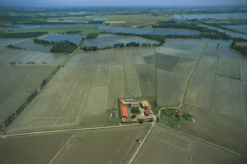 无人,农场,横图,俯视,航拍,室外,白天,旅游,农业,农作物,美景,意大利,湿,稻田,地形,景观,田地,风景,自然,景色,摄影,宁静,运河,鸟瞰,自然风光,死水,诺瓦拉,自然地理,彩图,高角度拍摄,旅行