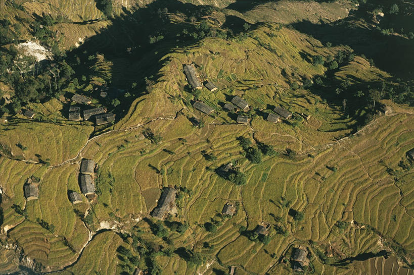 无人,横图,俯视,室外,白天,农业,梯田,尼泊尔,地形,绿色,风景,摄影,宁静,式样,彩图,高角度拍摄
