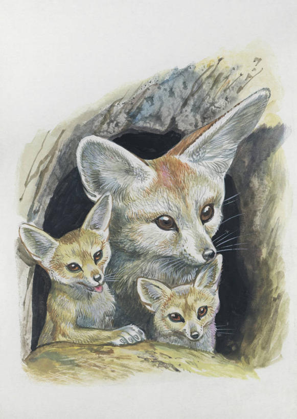 无人,竖图,插画,室外,特写,白天,数码,科技,哺乳动物,狐狸,野生动物,三只,阴影,科学,网络,高光,几何,计算机图形,合成,图像,图画,画,动物,概念,生物,电脑合成图,数码合成图,生物学,合成图,野狗,幼兽,主题,狡猾,漫画,计算机制图,写实,具体,具象,构图,狡诈,彩图,时空,动物学,脊椎动物亚门