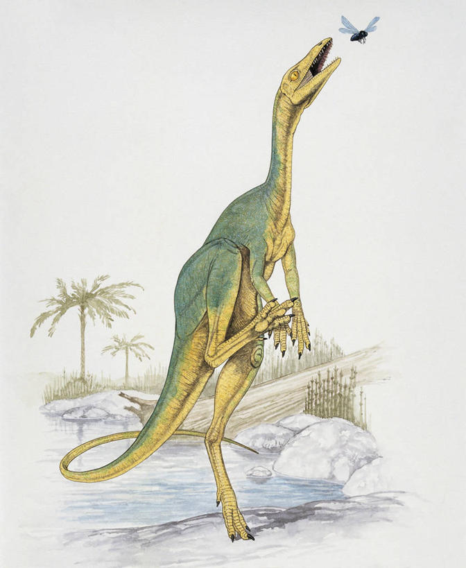 无人,跳,竖图,插画,室外,白天,数码,科技,森林,植物,野生动物,阴影,科学,网络,捕食,昆虫,高光,几何,计算机图形,合成,图像,图画,历史,画,树,动物,两只,概念,生物,恐龙,考古学,电脑合成图,数码合成图,生物学,合成图,主题,漫画,益虫,远古,计算机制图,写实,具体,具象,构图,三叠纪,侏罗纪,古代史,进化,地质学,史前时代,彩图,年代,似鸵龙,时空,地质年代,地质时代,时代,显生宙,中生代,动物学,林区,过去,古生物学,脊椎动物亚门