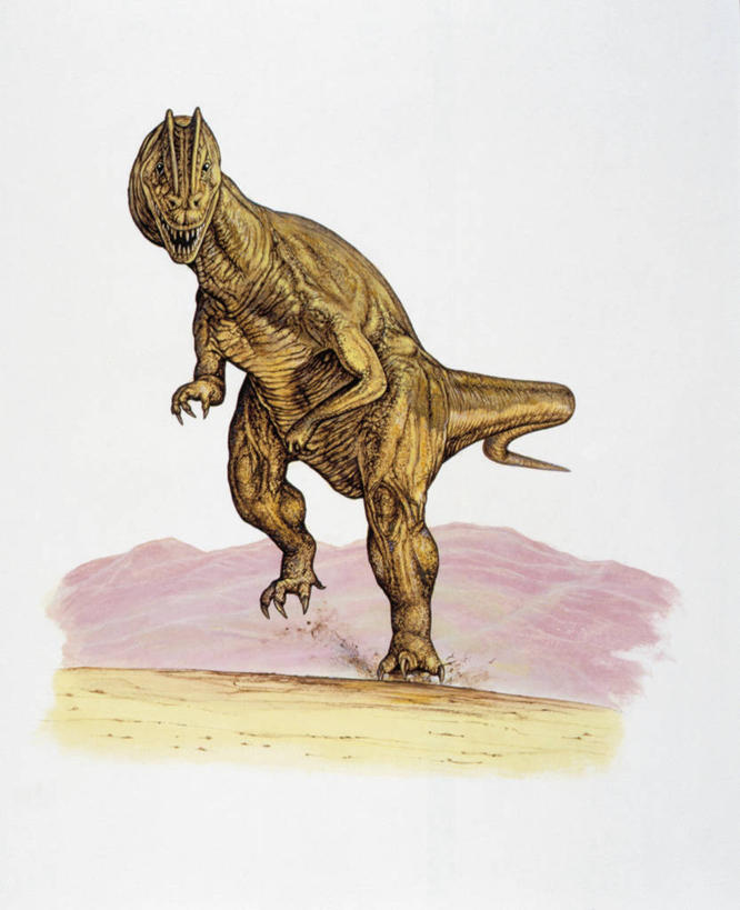 无人,跑,竖图,插画,室外,白天,数码,科技,野生动物,阴影,网络,高光,几何,计算机图形,合成,图画,历史,画,动物,恐龙,电脑合成图,数码合成图,合成图,漫画,写实,具体,具象,古代史,地质学,史前时代,彩图,双脊龙,中生代,过去,古生物学