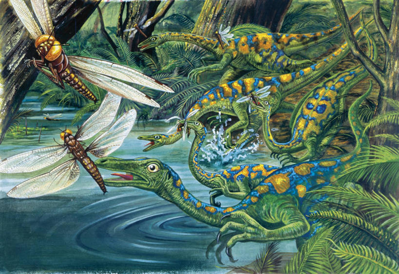 无人,跑,横图,室外,白天,河流,野生动物,追赶,昆虫,流水,飞,自然,动物,恐龙,环境,节肢动物,潘塔纳尔湿地,古代史,地质学,史前时代,彩图,白垩系,过去,古生物学