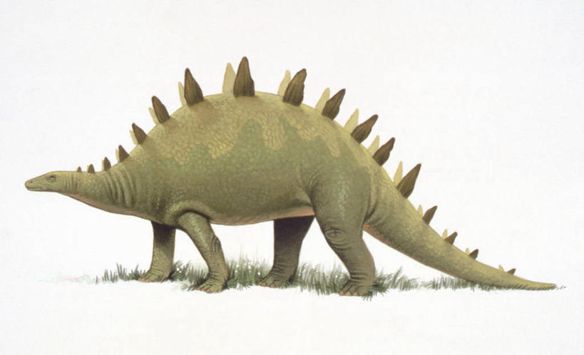 无人,横图,插画,白色背景,侧面,数码,科技,野生动物,阴影,网络,高光,几何,计算机图形,合成,图画,历史,画,白色,动物,恐龙,电脑合成图,数码合成图,锋利,尖锐,合成图,漫画,写实,具体,具象,侏罗纪,古代史,地质学,史前时代,彩图,过去,古生物学