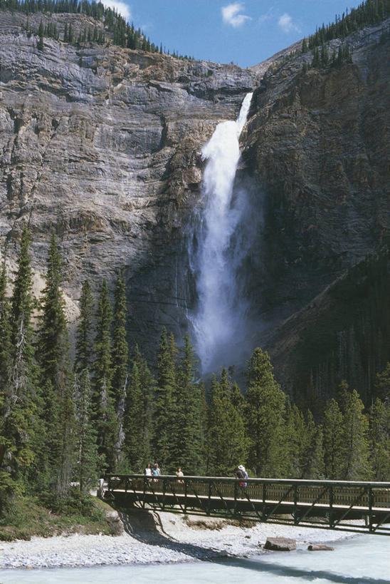 竖图,室外,白天,旅游,度假,河流,美景,瀑布,森林,水,美国,加拿大,景观,流水,悬崖,桥,联合国,娱乐,风景,天空,自然,享受,休闲,景色,放松,摄影,人行桥,国家公园,自然风光,幽鹤国家公园,大不列颠哥伦比亚,岩石,彩图,旅行,联合国教科文组织,塔卡考瀑布
