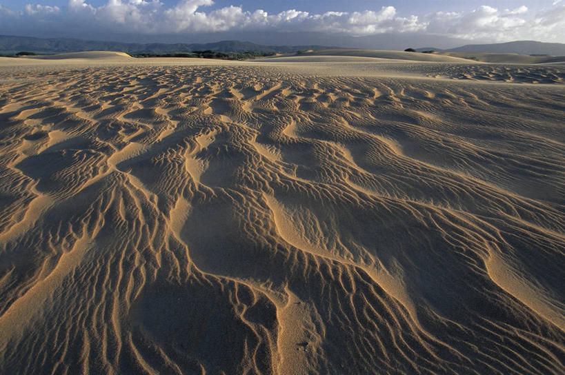 无人,横图,室外,白天,美景,沙漠,委内瑞拉,沙子,地形,景观,沙丘,风景,自然,景色,南美,摄影,气候,国家公园,自然风光,式样,法尔孔州,自然地理,彩图,旅行,郊野公园