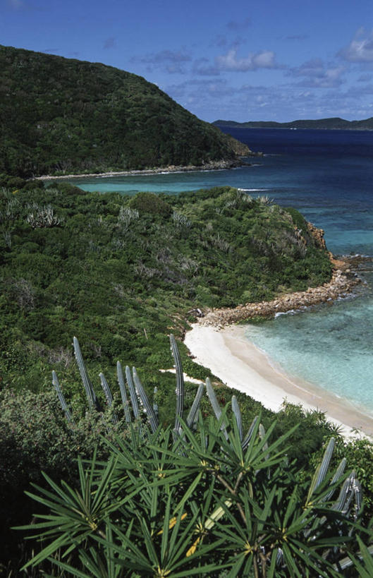 无人,竖图,室外,白天,海洋,山,植物,地平线,海岸线,辽阔,地面,风景,广阔,摄影,生长,一望无际,气候,热带气候,清新,延伸,英属维京群岛,天地相交,无边无际,一马平川,海滩,彩图