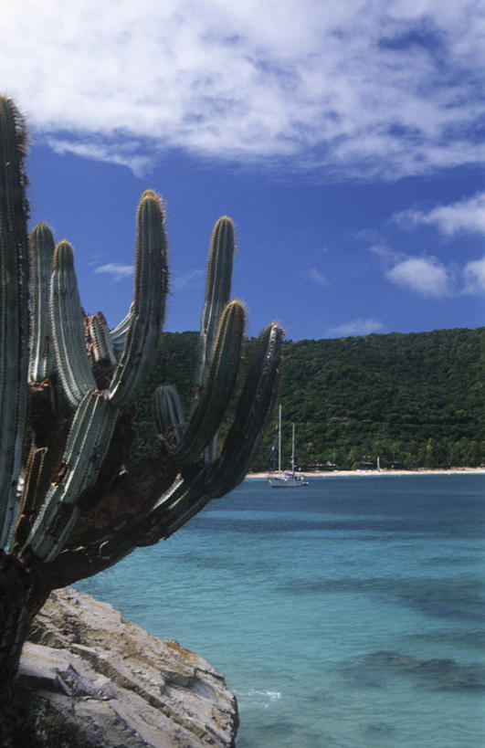 帆船,无人,竖图,室外,白天,度假,海洋,山,船,仙人掌,地平线,海岸线,河岸,辽阔,地面,交通工具,广阔,摄影,生长,航海,宁静,一望无际,气候,热带气候,载具,延伸,英属维京群岛,天地相交,无边无际,一马平川,岩石,彩图,忍耐力