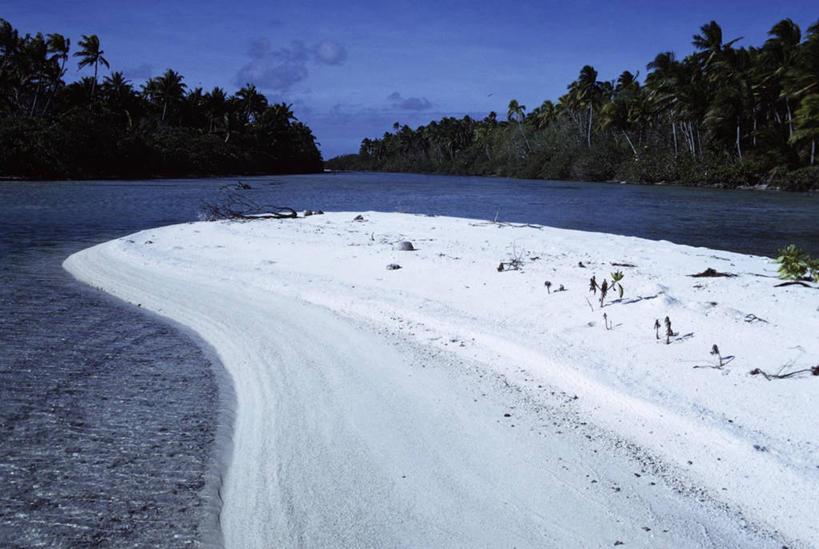 无人,横图,室外,白天,旅游,度假,海洋,美景,棕榈树,沙子,地形,景观,娱乐,风景,自然,享受,休闲,景色,放松,摄影,宁静,自然风光,大洋洲,法属波利尼西亚,社会群岛,万里无云,法属玻利尼西亚,珊瑚岛,自然地理,海滩,彩图,法国海外领土
