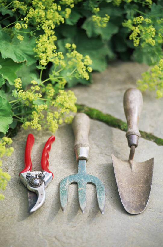 无人,竖图,室外,特写,白天,农业,静物,金属制品,金属,工具,园艺,图像,设备,物品,三个,刀,夏天,季节,摄影,耙子,主题,农具,泥铲,耕具,构图,彩图,时空